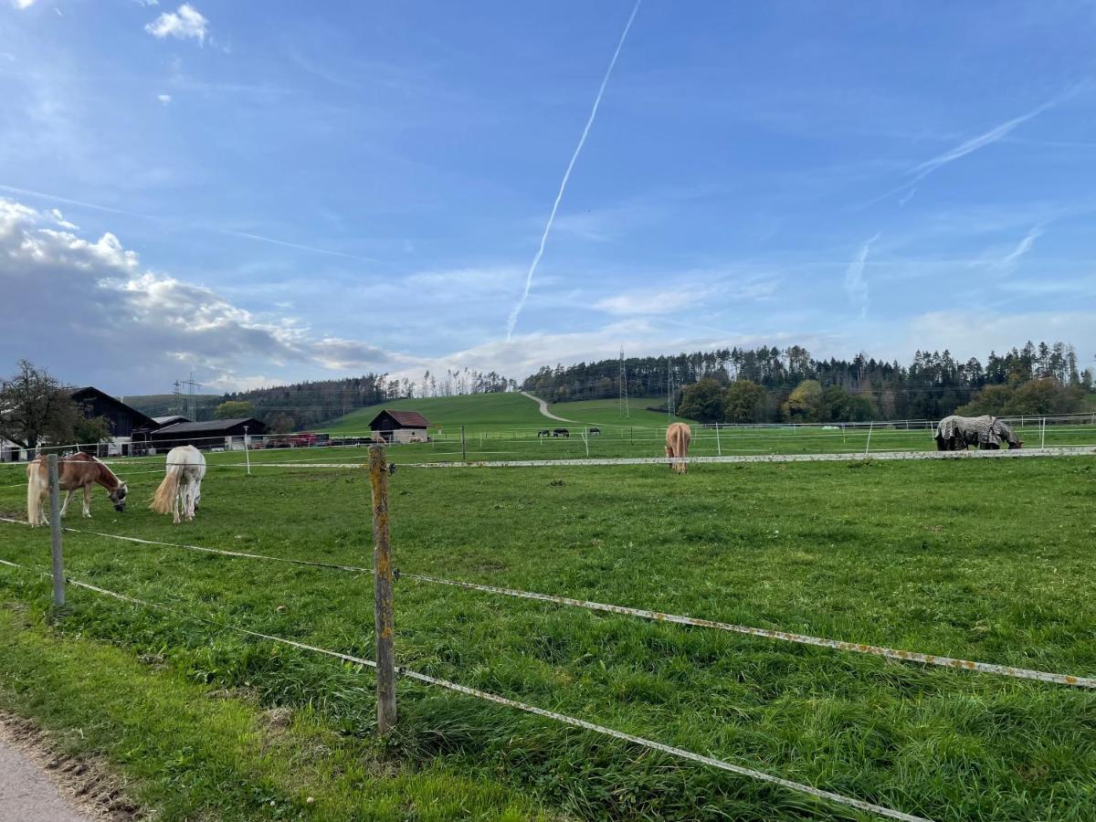 Ferien Im Schwarzwald - Ruhe & Naturverbunden Weilheim Екстериор снимка