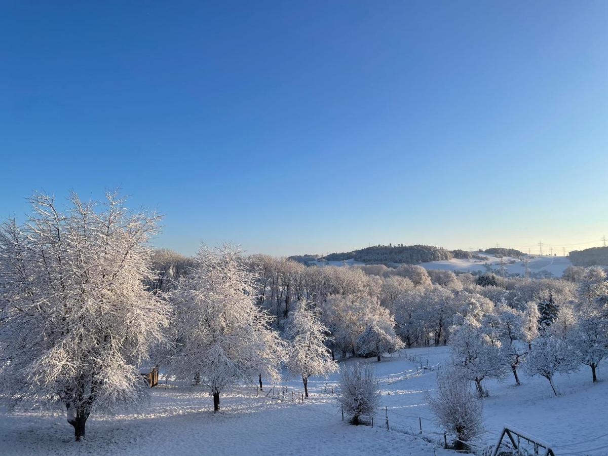 Ferien Im Schwarzwald - Ruhe & Naturverbunden Weilheim Екстериор снимка